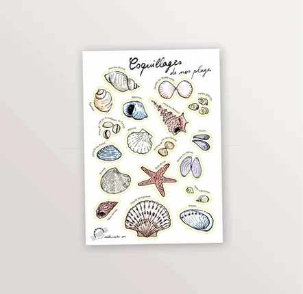 Stationery - 2 A5 sticker sheets: Birds and Seashells - TABLE À CARTES