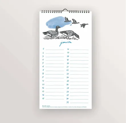 Stationery - Perpetual calendar - Seabirds - TABLE À CARTES