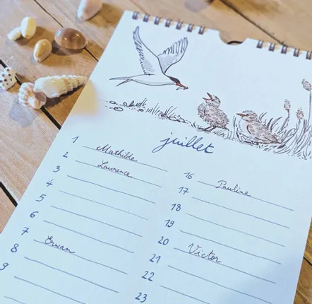 Stationery - Perpetual calendar - Seabirds - TABLE À CARTES