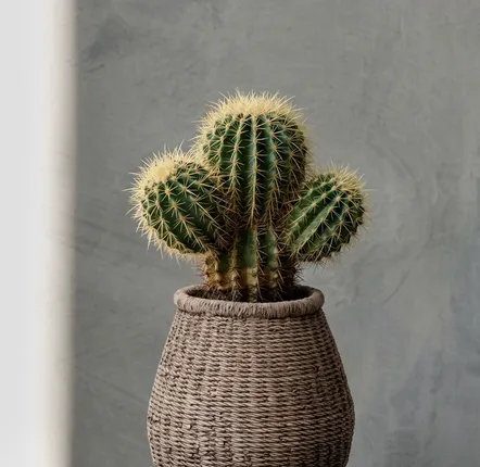 Flower pots - The Faux-Puff Planter - Brown - M - BAZAR BIZAR LIVING