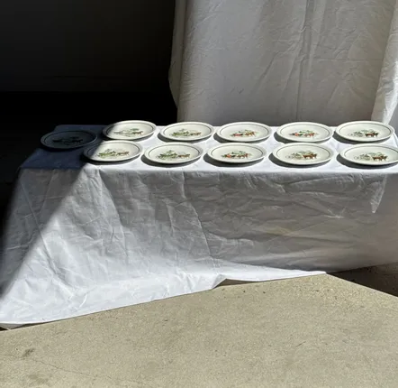 Formal plates - Set of 11 vintage Lunéville-Badonviller dessert plates with decoration - OFFICE OBJETS