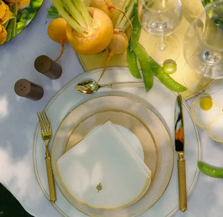 Table linen - EAR OF WHEAT - napkin, placemat and coaster - ARTIPARIS