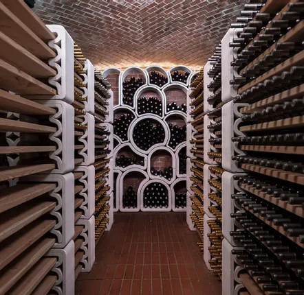 Shelves - Wine Rack - VOXELL - AZU DESIGN S.R.O.