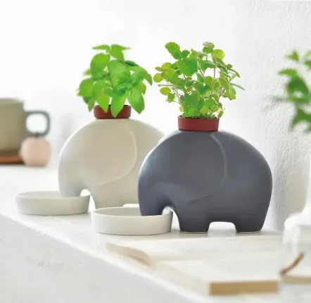 Cadeaux - Eleplant - NOTED