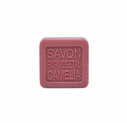 Soaps - CAMELLIA SOAP – PACK OF 24 - NATURE & BOTANIC