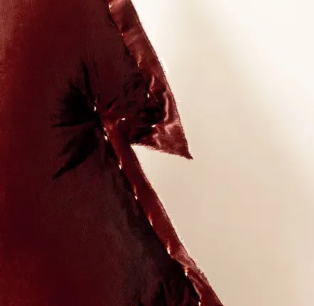 Table lamps - BRILLIANT RED luminous tree - ROSE VELOURS
