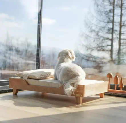 Beds - Wooden Pet Bed - WOODEN STORY