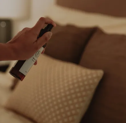 Spa - Cloud 9- Pillow Spray - MIST ATELIER