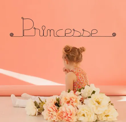 Cadeaux - Décoration Murale en Fil de Fer "Princesse" - à punaiser - Enfant - BIJOUX DE MUR