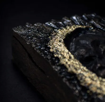 Unique pieces - Bog Oak Sculpture – Rectangle, 250x120x50 mm - GLASS4CANDLES