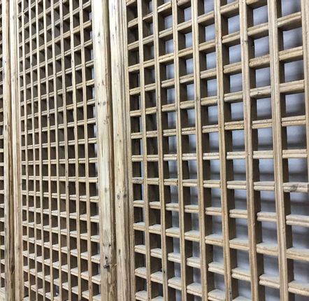 Unique pieces - Tall Screen Doors - THE SILK ROAD COLLECTION