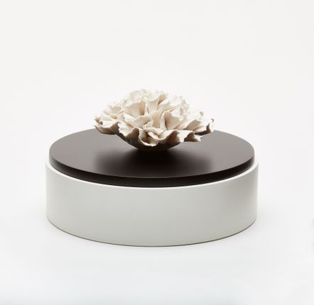 Scent diffusers - Decorative wooden and porcelain box - IWA - ANOQ