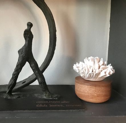 Autres fournitures bureau  - Diffuseur de parfum Oeillet, diffuseur naturel d'huile essentielle. - ANOQ