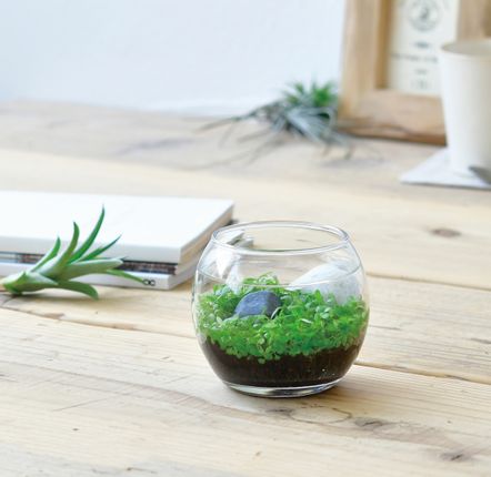 Accessoires de déco extérieure - Jardin d'eau miniature - NOTED