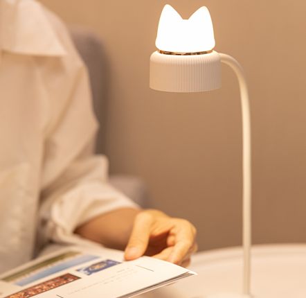 Other smart objects - Wireless Dual LED Light - KELYS