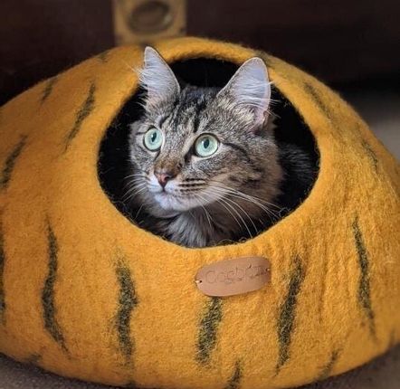 Tapis - Cocon pour chat et chien en laine feutrée fait main. - COCOON PARIS