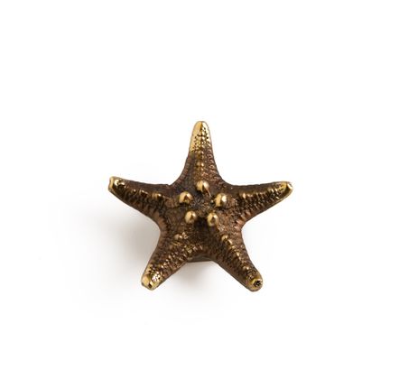 Artistic hardware - Starfish knob - THEA DESIGN