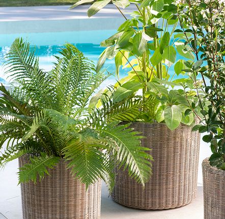 Vases - SET PLANTER BORNE - CRISAL DECORACIÓN