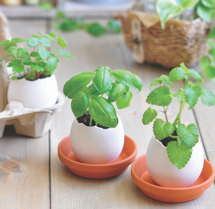 Cadeaux - Eggling - NOTED
