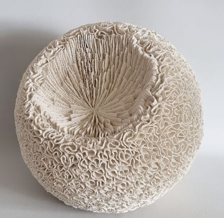 Ceramic - MONTIPORA - MARIK KORUS