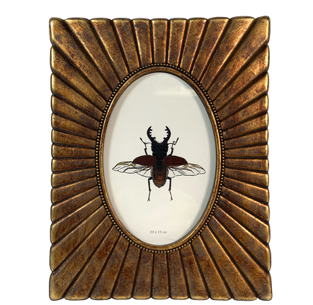 Frames - OVAL VIEW  FRAMES - EMDE