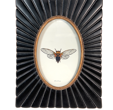 Frames - OVAL VIEW  FRAMES - EMDE