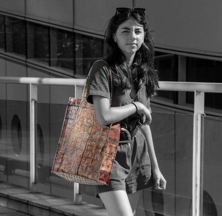 Range-tout - Sac bois - MARON BOUILLIE
