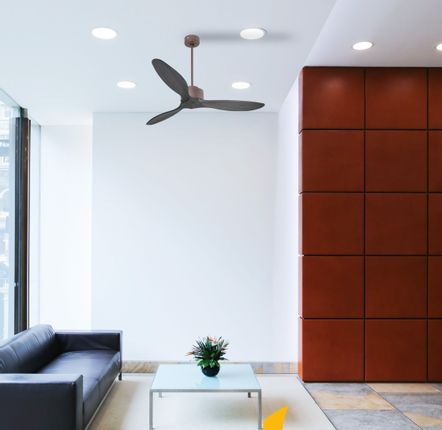 Plafonniers - Ventilateur de plafond Destratificateur Modulo, moteur chocolat, pales bois laquée noires, wifi, thermsotat, Garantie 10 ans. - KLASSFAN
