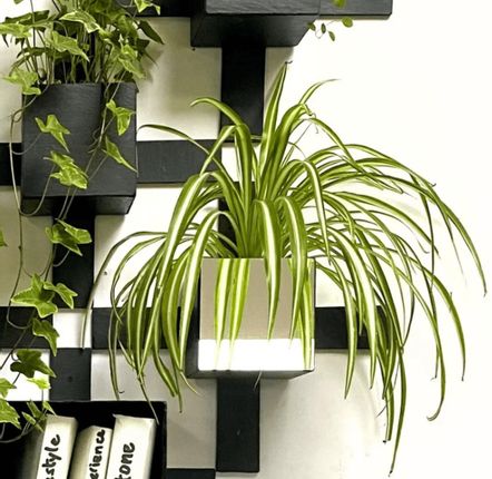 Green walls - Natural Slate Wall Planter, Pixel MIRROR - ARDOISE DESIGN
