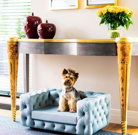 Chaises - Canapé de luxe pour chien GLAMOUR - PET EMPIRE