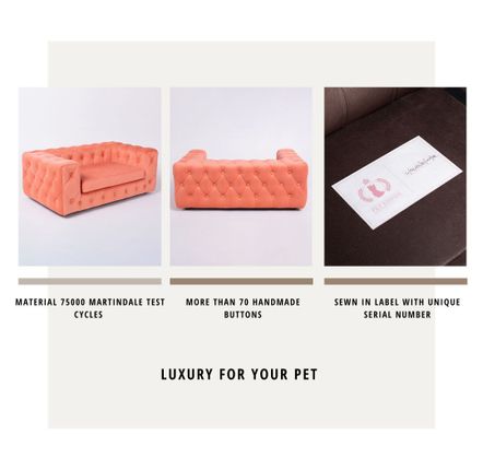 Petits canapés - ROYAL - Fauteuil pour chien de qualité supérieure - PET EMPIRE