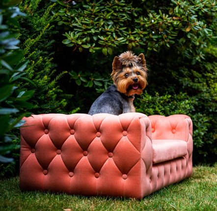 Pet accessories - ROYAL Pet Furniture - PET EMPIRE