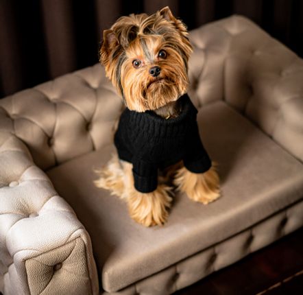 Accessoires animaux - ROYAL Canapé design pour chien - PET EMPIRE