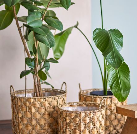 Paniers - Joleen Panier, Nature, Jacinthe d'eau Set of 3 - CREATIVE COLLECTION