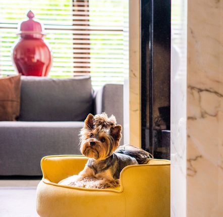 Accessoires animaux - Panier de luxe pour chien YIN YANG - PET EMPIRE