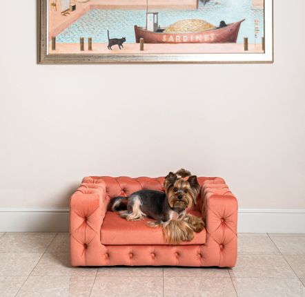 Accessoires animaux - Canapé élégant pour chien GLAMOUR - PET EMPIRE