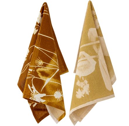 Brosserie - Celleste Serviette de cuisine, Jaune, Coton Set of 2 - BLOOMINGVILLE MULTIBRAND HOUSE