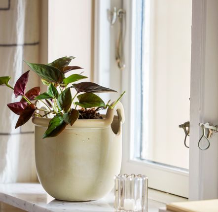 Pots de fleurs - Janti Pot de fleurs, Nature, Grès  - BLOOMINGVILLE MULTIBRAND HOUSE