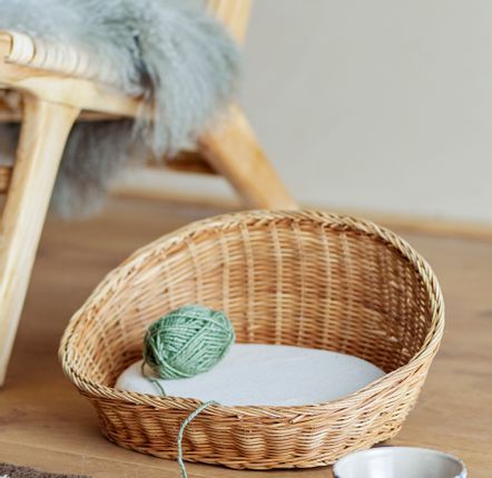Accessoires animaux - Tille Panier pour chat, Nature, Rotin  - BLOOMINGVILLE MULTIBRAND HOUSE