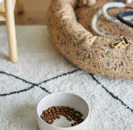 Accessoires animaux - Buddy Bol, Blanc, Grès  - BLOOMINGVILLE MULTIBRAND HOUSE