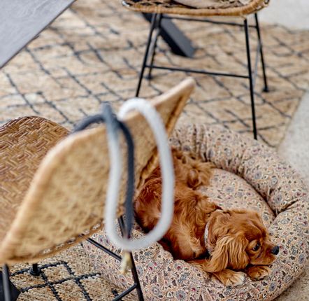 Accessoires animaux - Ceylan Laisse pour chien, Noir, Coton  - BLOOMINGVILLE MULTIBRAND HOUSE