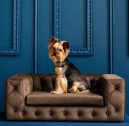 Accessoires animaux - ROYAL Canapé design pour chien - PET EMPIRE