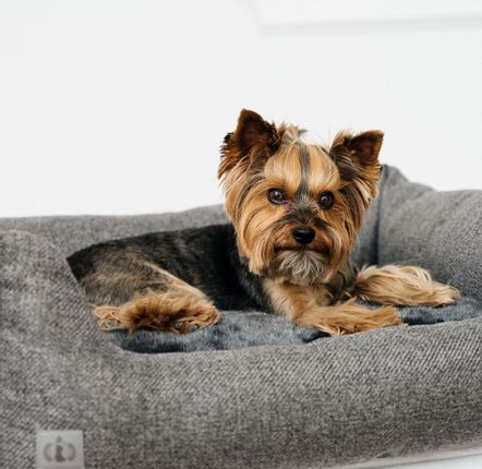 Lits - LIT POUR CHIEN NOBLE - PET EMPIRE