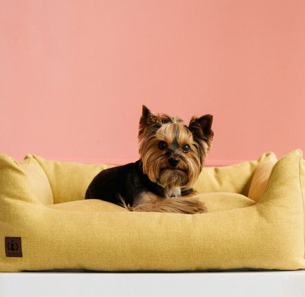 Lits - LIT POUR CHIEN NOBLE - PET EMPIRE