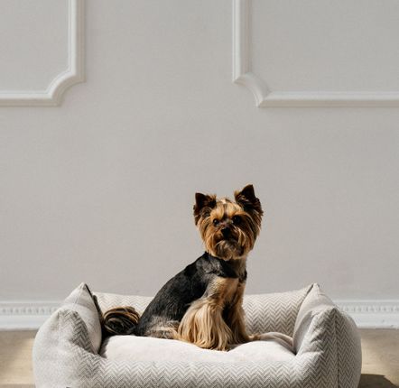 Lits - LIT POUR CHIEN SEREIN - PET EMPIRE