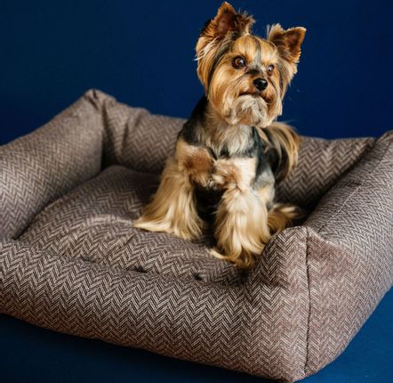 Lits - LIT POUR CHIEN SEREIN - PET EMPIRE