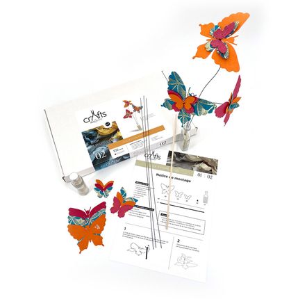 Coffrets et boîtes - BOX 02 / 3 Papillons (Collection prestige) - ALEX HACKETT