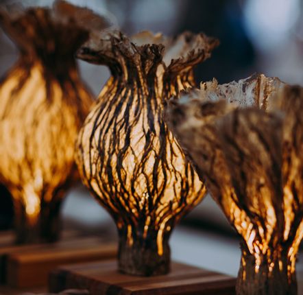 Design objects - The Bark Tissue Box - TAIWAN CRAFTS & DESIGN