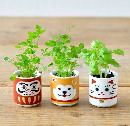 Objets déco enfant - Lucky Plants - NOTED