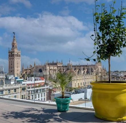 Accessoires de déco extérieure - Pot traditionnel Grande Taille - GUADARTE